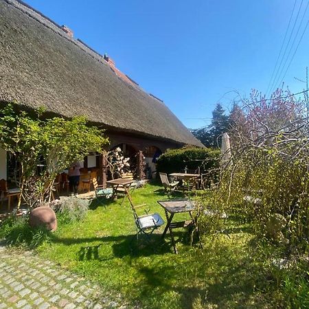 Fischerhaus Galenbeck Bed & Breakfast Bagian luar foto