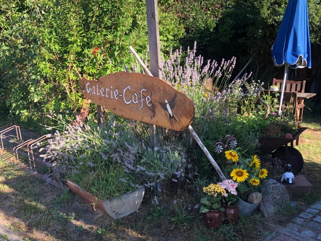 Fischerhaus Galenbeck Bed & Breakfast Bagian luar foto
